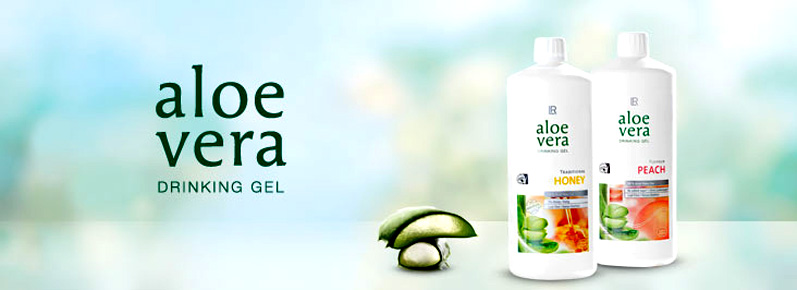 Aloe Vera | LR Shop